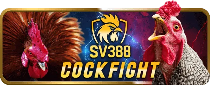 Mẹo cá cược thể thao game789 win